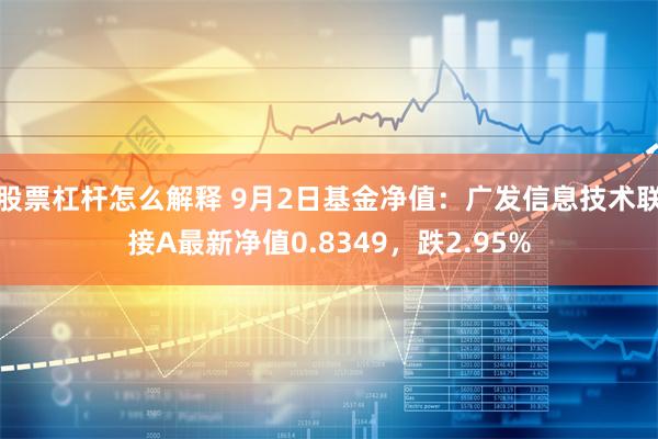 股票杠杆怎么解释 9月2日基金净值：广发信息技术联接A最新净值0.8349，跌2.95%