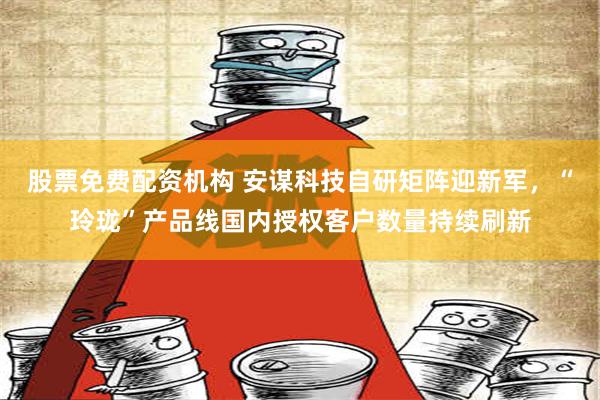 股票免费配资机构 安谋科技自研矩阵迎新军，“玲珑”产品线国内授权客户数量持续刷新