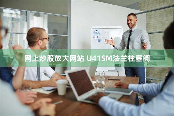 网上炒股放大网站 U41SM法兰柱塞阀