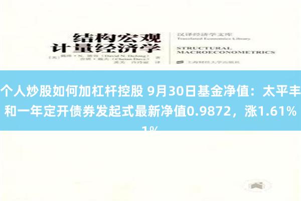 个人炒股如何加杠杆控股 9月30日基金净值：太平丰和一年定开债券发起式最新净值0.9872，涨1.61%