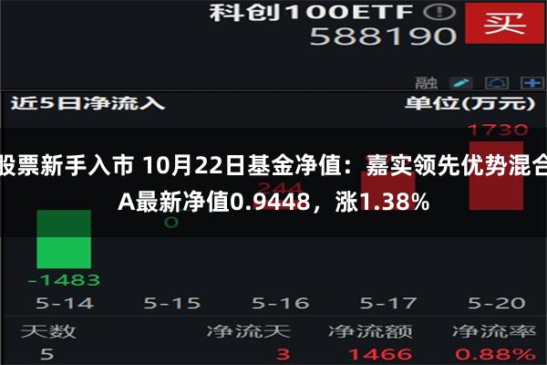 股票新手入市 10月22日基金净值：嘉实领先优势混合A最新净值0.9448，涨1.38%