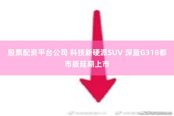 股票配资平台公司 科技新硬派SUV 深蓝G318都市版延期上市