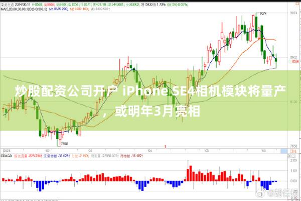 炒股配资公司开户 iPhone SE4相机模块将量产，或明年3月亮相