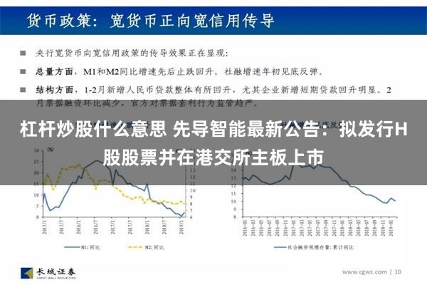 杠杆炒股什么意思 先导智能最新公告：拟发行H股股票并在港交所主板上市