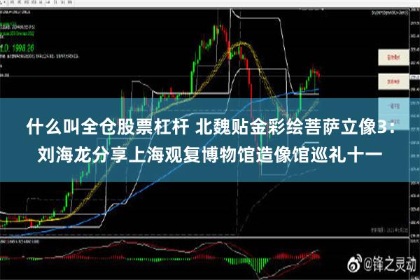 什么叫全仓股票杠杆 北魏贴金彩绘菩萨立像3：刘海龙分享上海观复博物馆造像馆巡礼十一